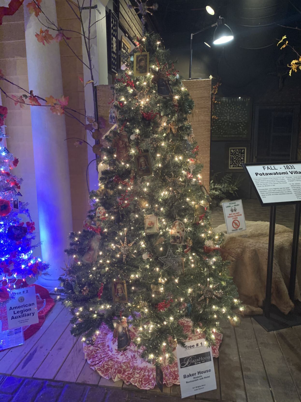 Baker House tree